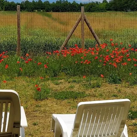 Porte Di Venezia, Tessera Aeroporto Favaro Veneto