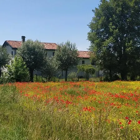 Porte Di Venezia, Tessera Aeroporto *